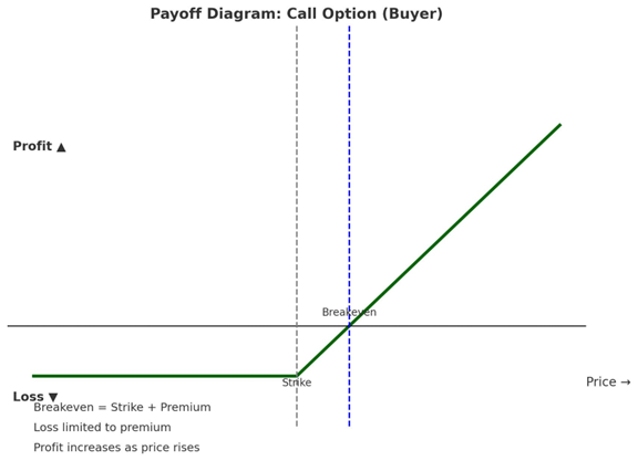 Payoff Diagram: Put Option